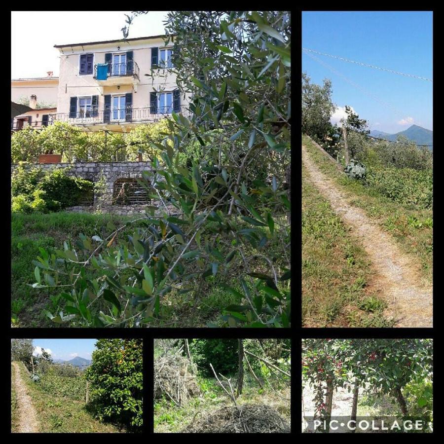 ホテル Rural House Rondini Camposasco エクステリア 写真