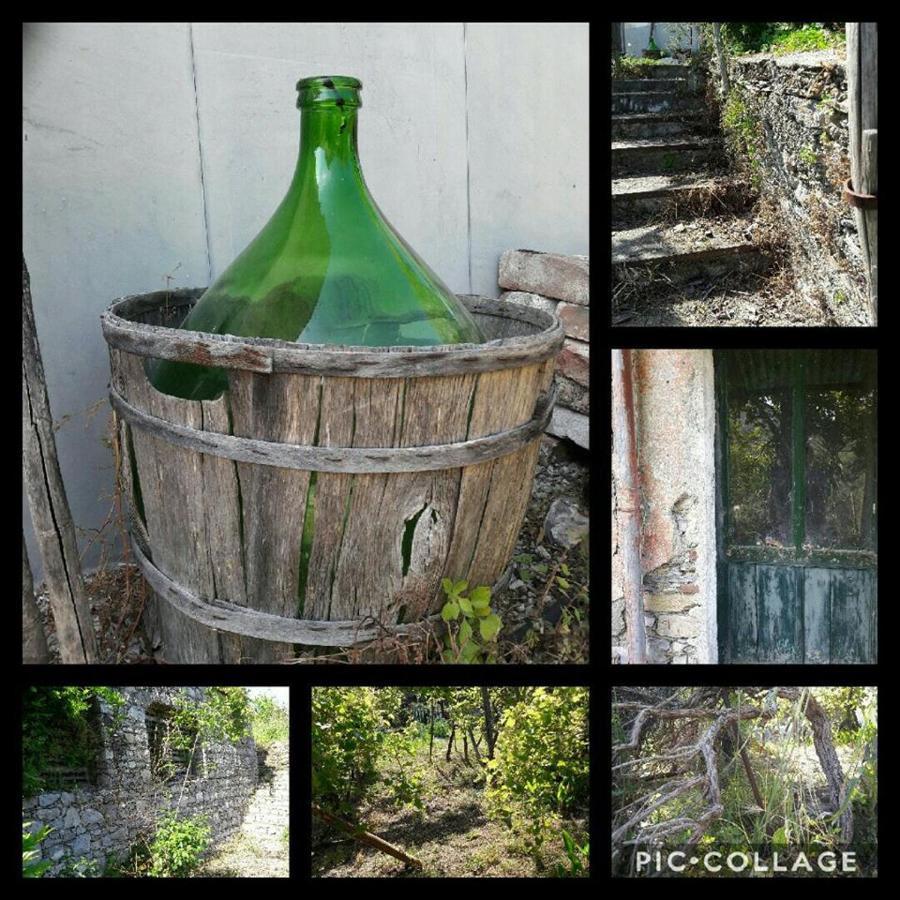 ホテル Rural House Rondini Camposasco エクステリア 写真