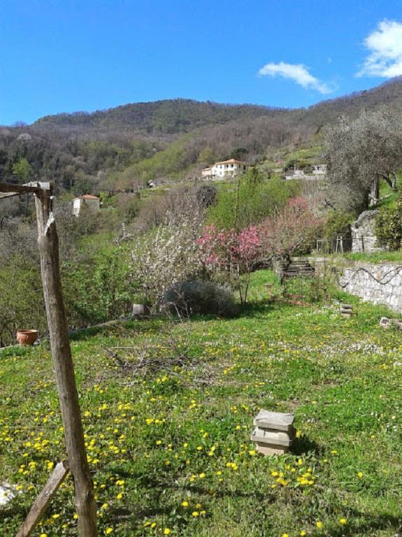 ホテル Rural House Rondini Camposasco エクステリア 写真