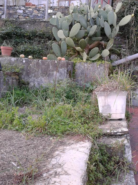 ホテル Rural House Rondini Camposasco エクステリア 写真